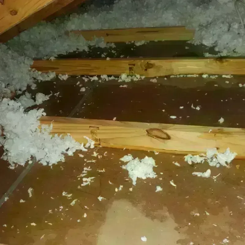 Attic Water Damage in New Hope, AL